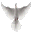 Clan Symbol